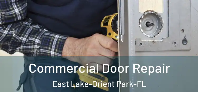  Commercial Door Repair East Lake-Orient Park-FL