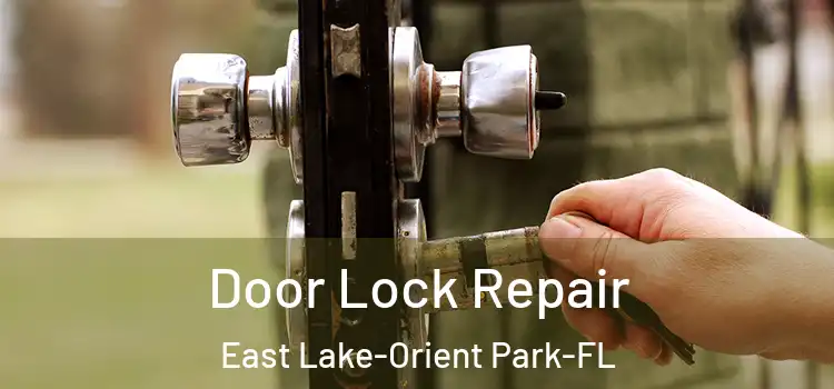 Door Lock Repair East Lake-Orient Park-FL