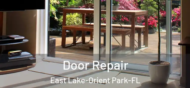  Door Repair East Lake-Orient Park-FL