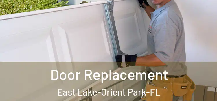  Door Replacement East Lake-Orient Park-FL