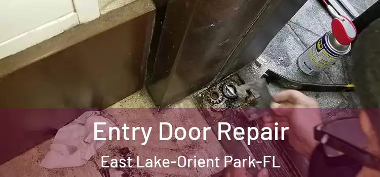  Entry Door Repair East Lake-Orient Park-FL
