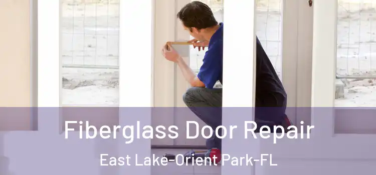 Fiberglass Door Repair East Lake-Orient Park-FL