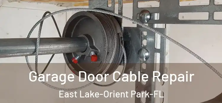  Garage Door Cable Repair East Lake-Orient Park-FL