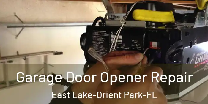  Garage Door Opener Repair East Lake-Orient Park-FL