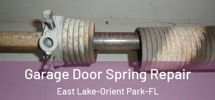  Garage Door Spring Repair East Lake-Orient Park-FL