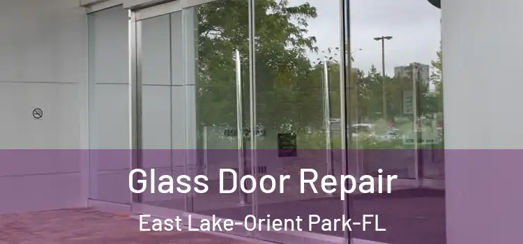  Glass Door Repair East Lake-Orient Park-FL