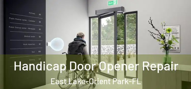  Handicap Door Opener Repair East Lake-Orient Park-FL