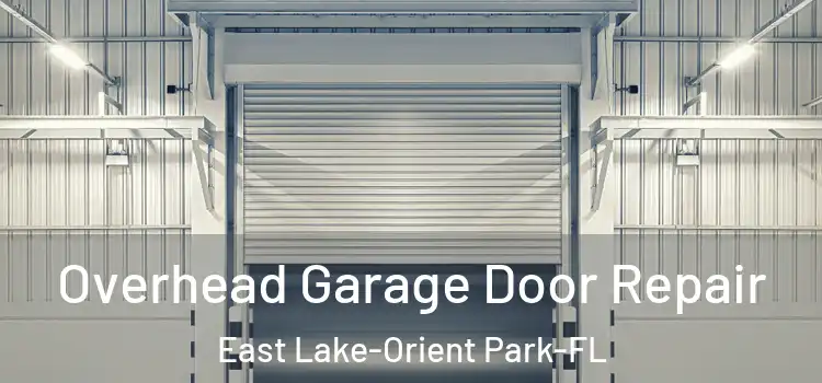  Overhead Garage Door Repair East Lake-Orient Park-FL
