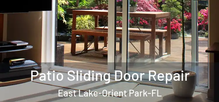  Patio Sliding Door Repair East Lake-Orient Park-FL