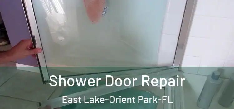  Shower Door Repair East Lake-Orient Park-FL