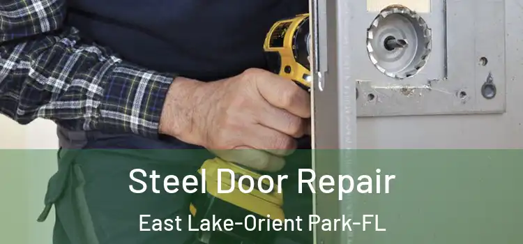  Steel Door Repair East Lake-Orient Park-FL