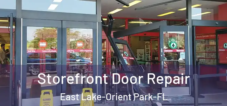  Storefront Door Repair East Lake-Orient Park-FL