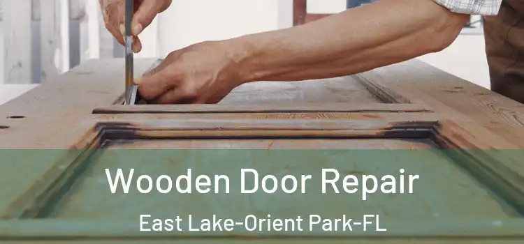  Wooden Door Repair East Lake-Orient Park-FL